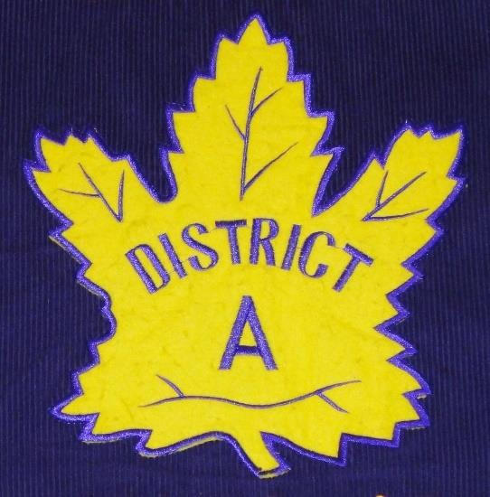 Lions District A patch