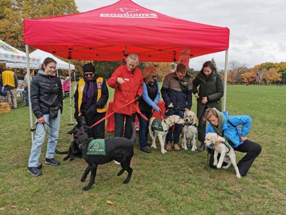 Dog Guides tent