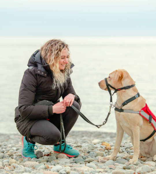 woman training a dog guide