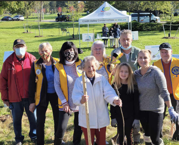 Streetsville Lions members planting trees