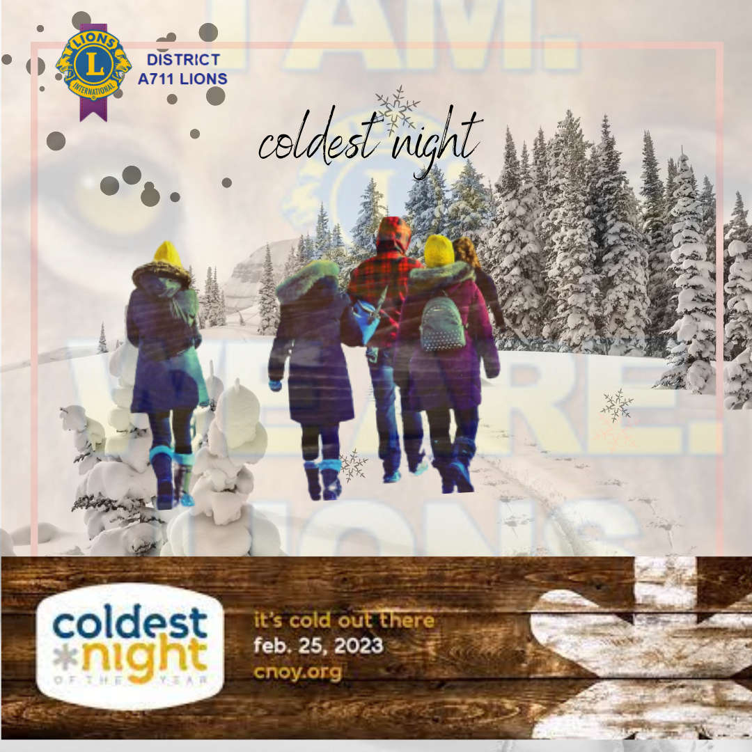 Coldest Night of the Year poster
